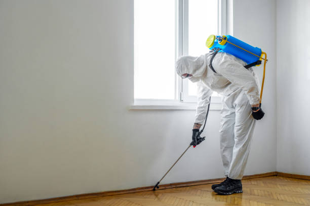 Best Affordable Pest Control Services  in Ashland, OR