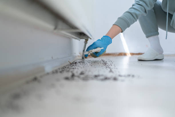 Best Pest Inspection Near Me  in Ashland, OR